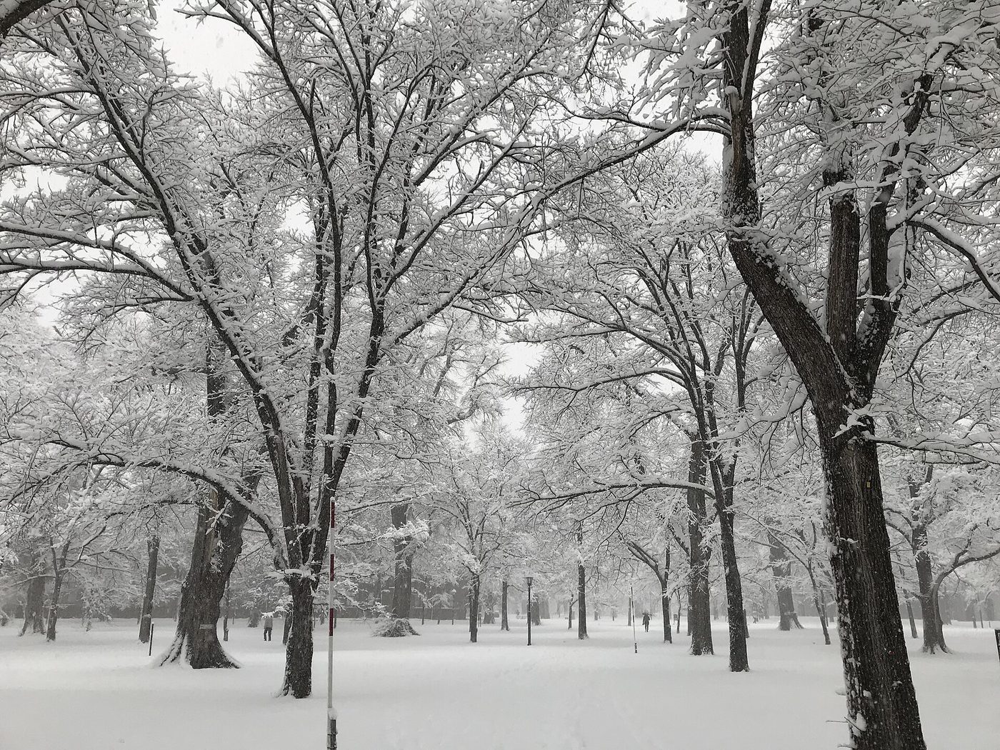 Sapporo Hokkaido University Campus