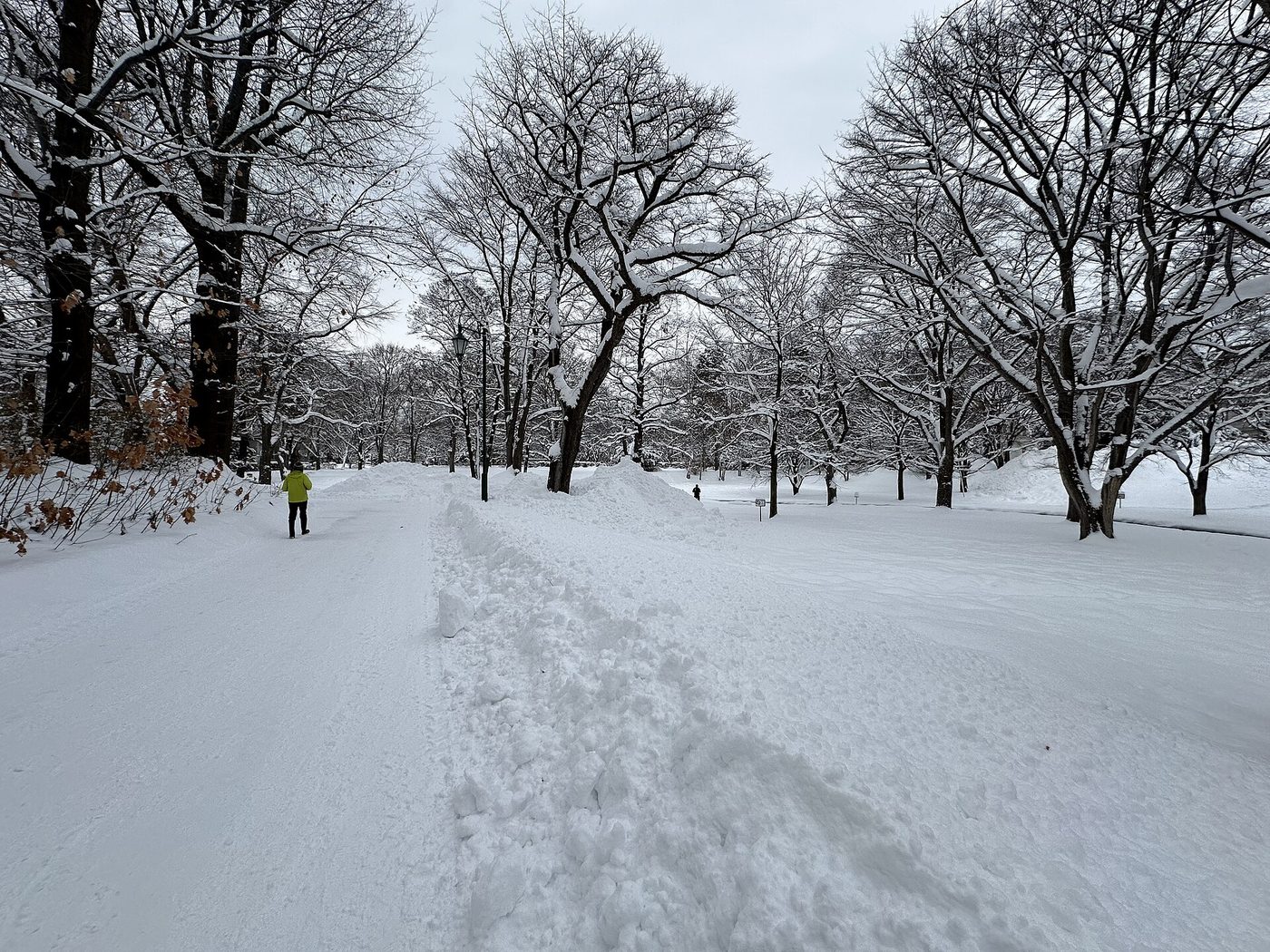 Sapporo Hokkaido University Campus