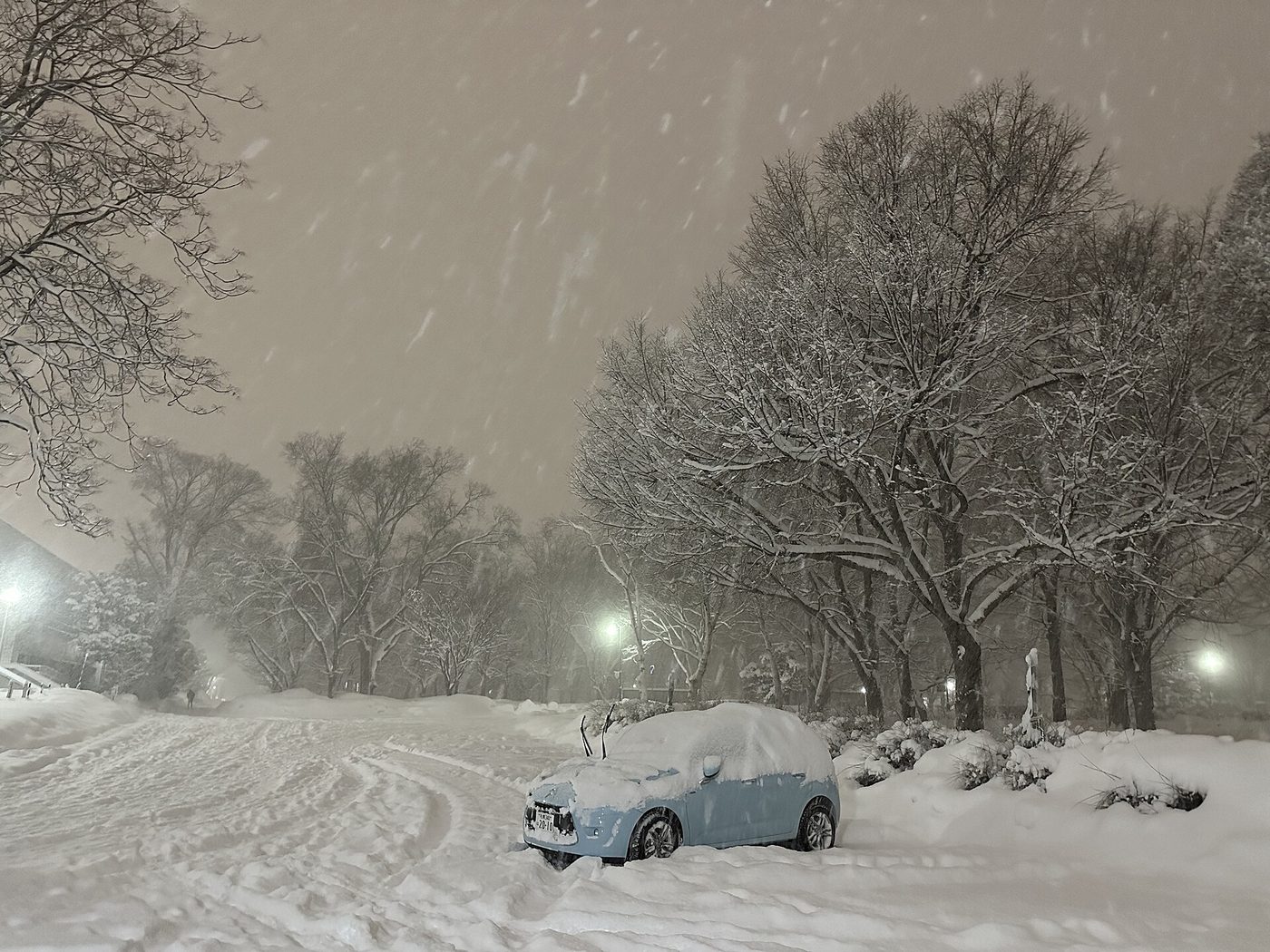 Sapporo Hokkaido University Campus