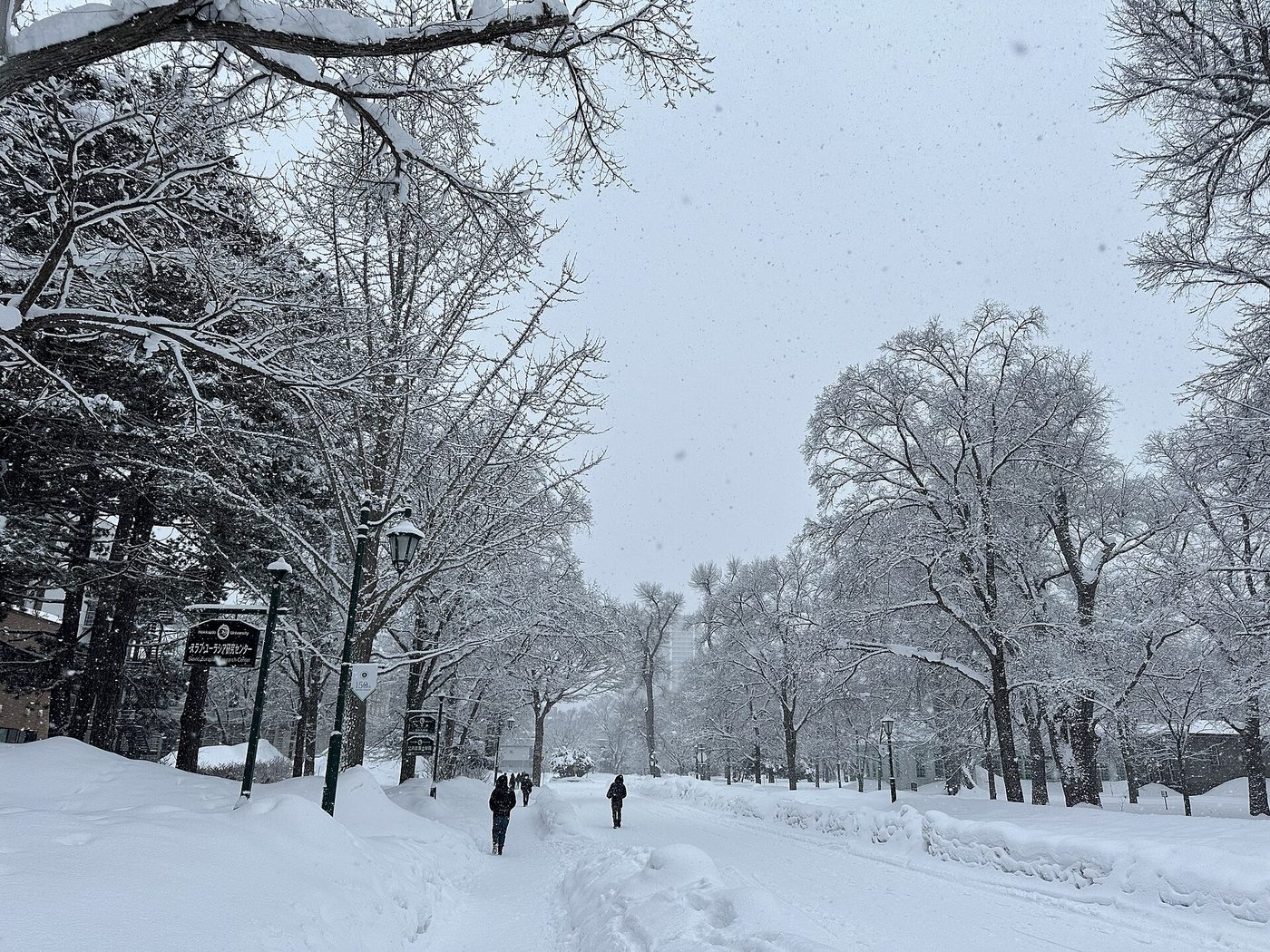Sapporo Hokkaido University Campus