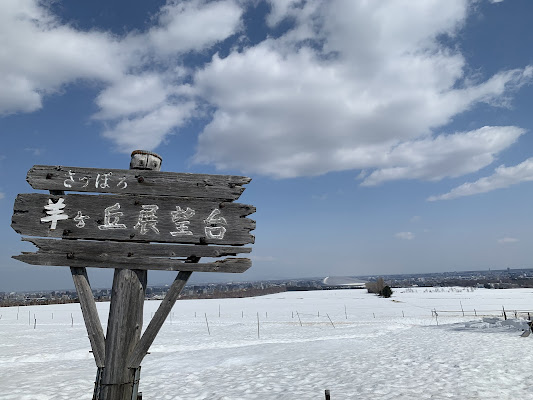 Sapporo Snow Festival