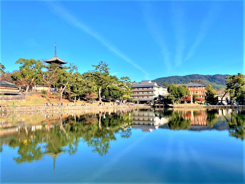 Sarusawa Pond