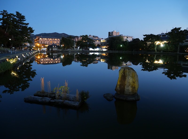Sarusawa Pond
