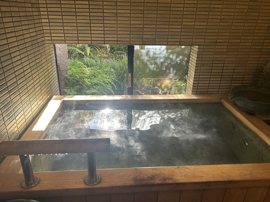 Sawanoya Ryokan