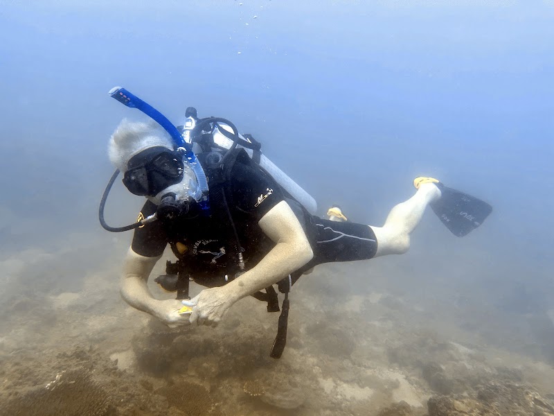 Scuba Diving