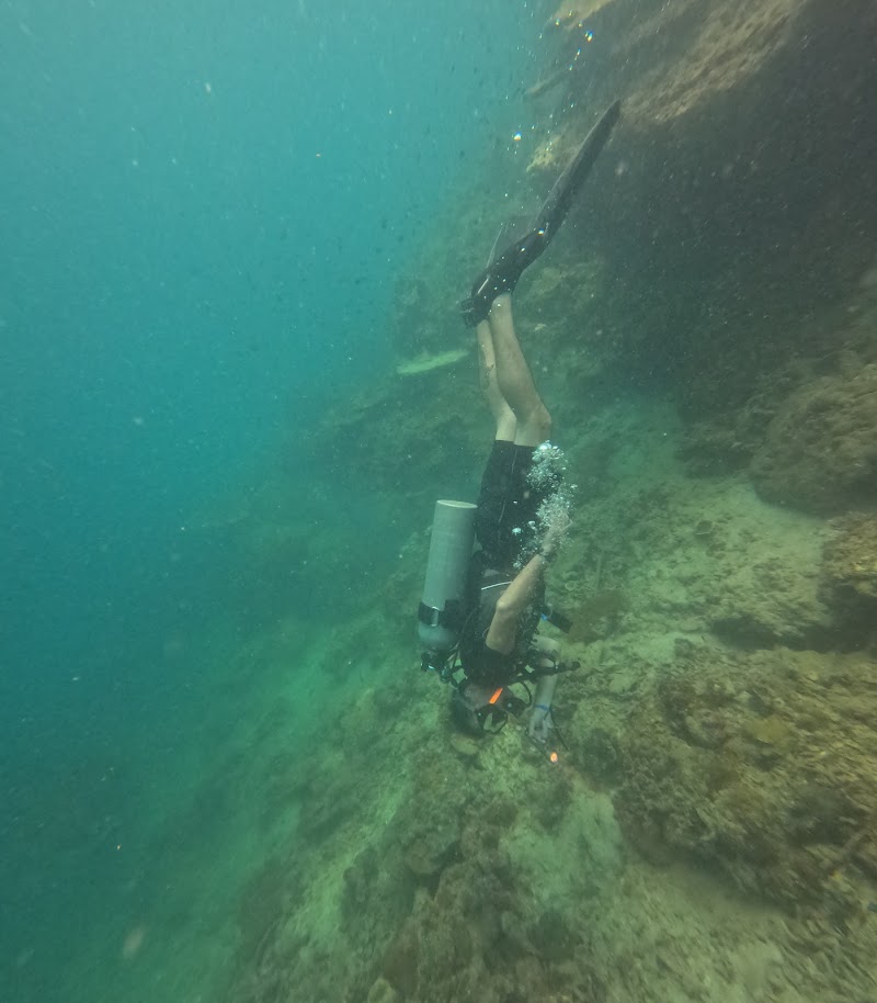 Scuba Diving