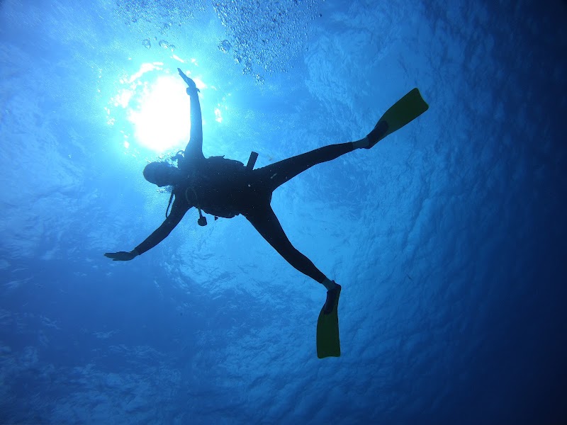 Scuba Diving at Cozumel