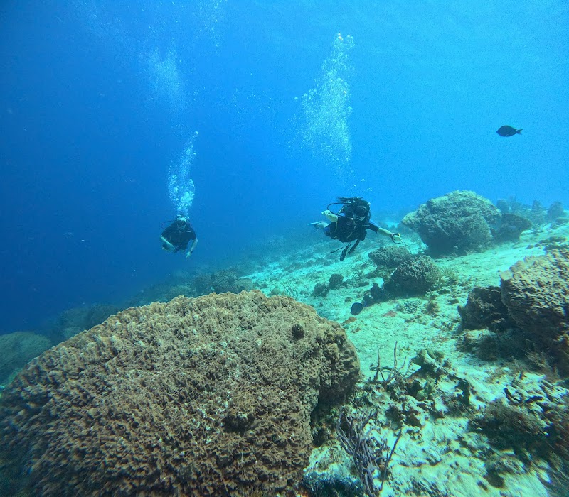Scuba Diving at Cozumel