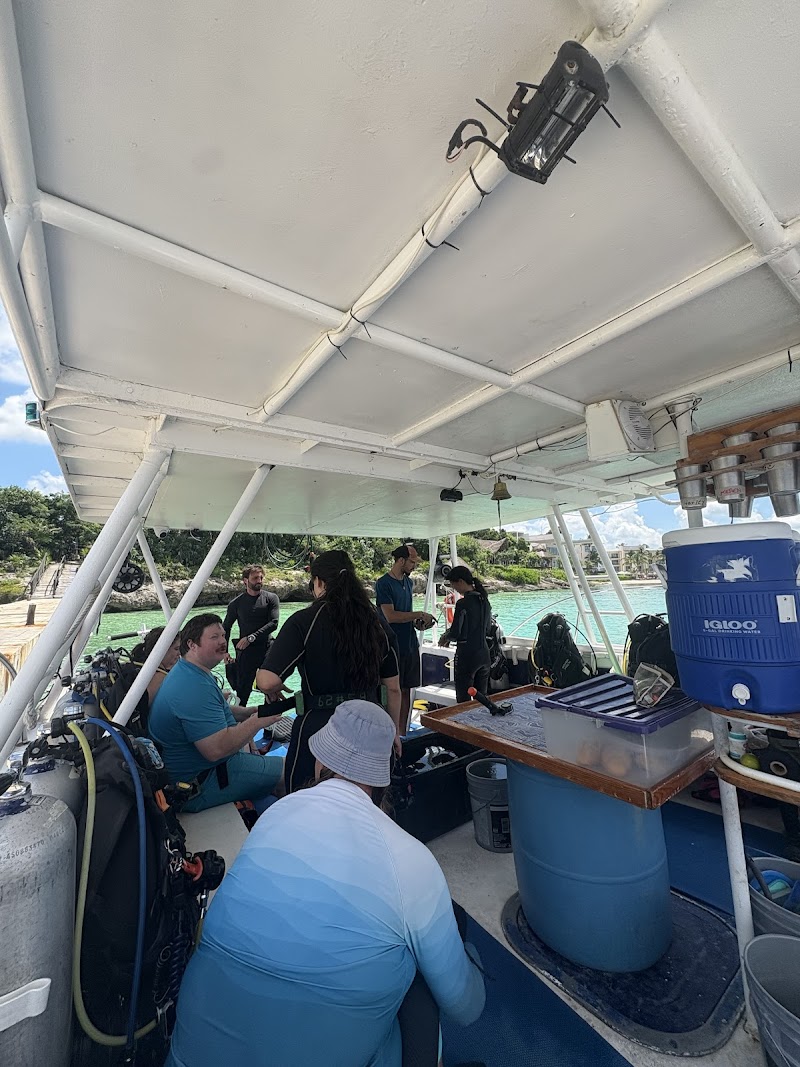 Scuba Diving at Cozumel