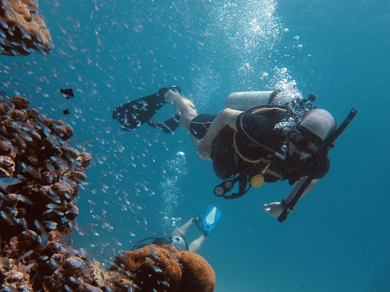 Scuba Diving Phuket