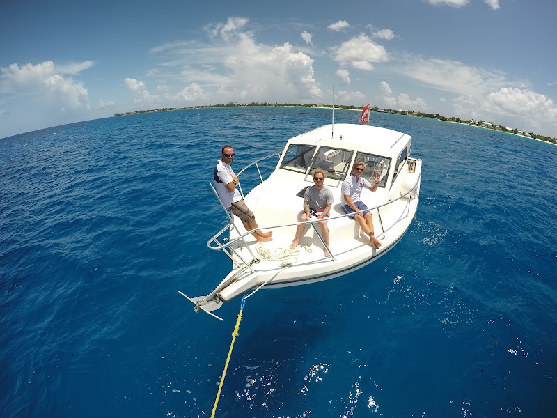 Scuba Diving the Cayman Wall
