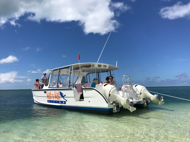 Scuba Diving the Cayman Wall