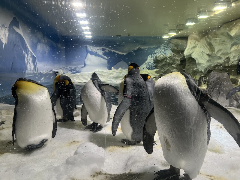 Sea World