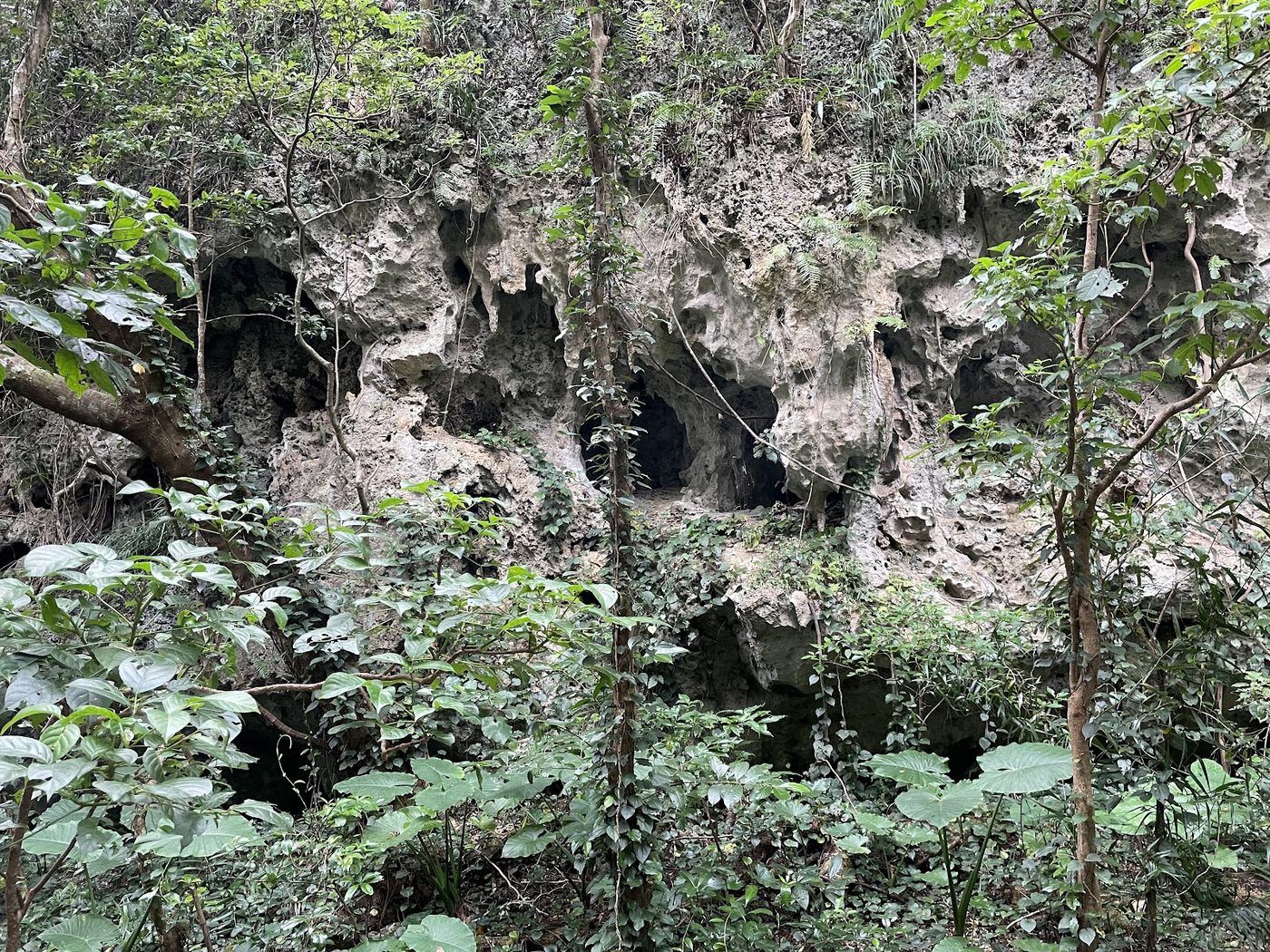 Sefa Utaki (UNESCO Sacred Site)