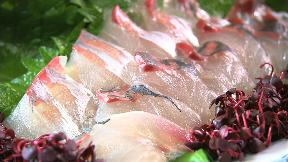 Sekiaji (Seki Mackerel and Aji)