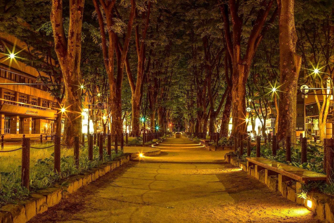 Sendai Jozenji-dori Zelkova Avenue