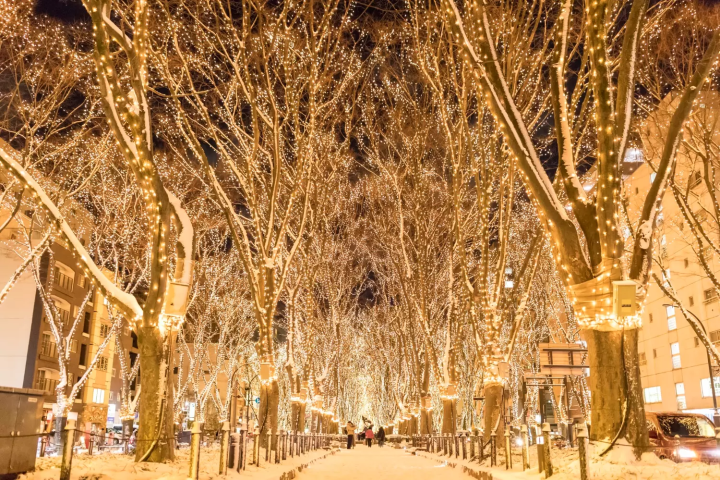 Sendai Pageant of Starlight