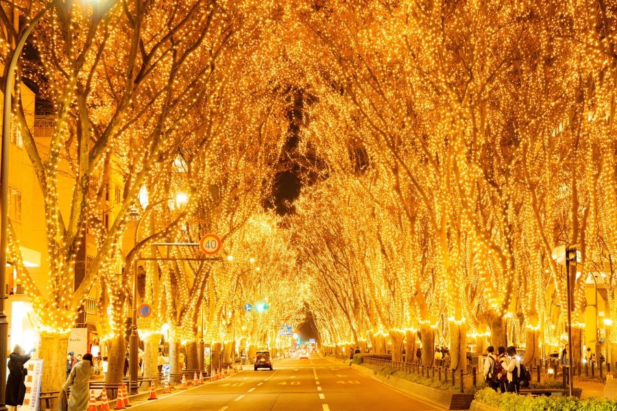 Sendai Pageant of Starlight