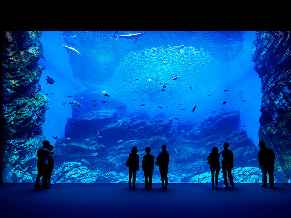 Sendai Umino-Mori Aquarium