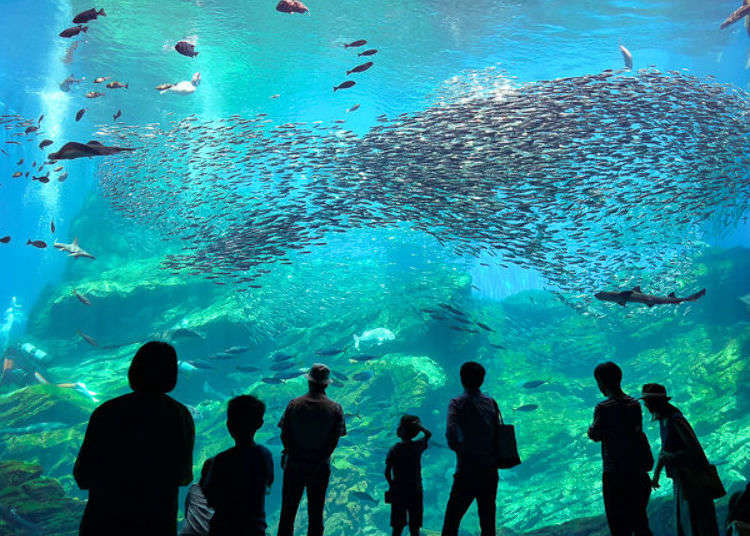 Sendai Umino-Mori Aquarium