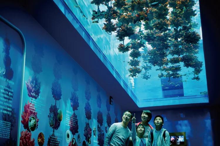 Sendai Umino-Mori Aquarium