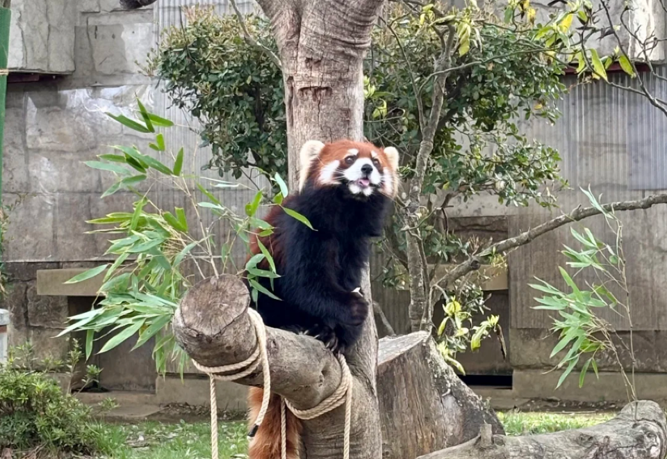 Sendai Yagiyama Zoo