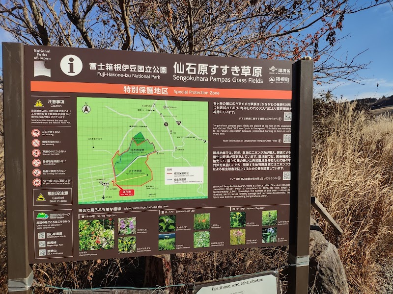 Sengokuhara Pampas Grass Fields