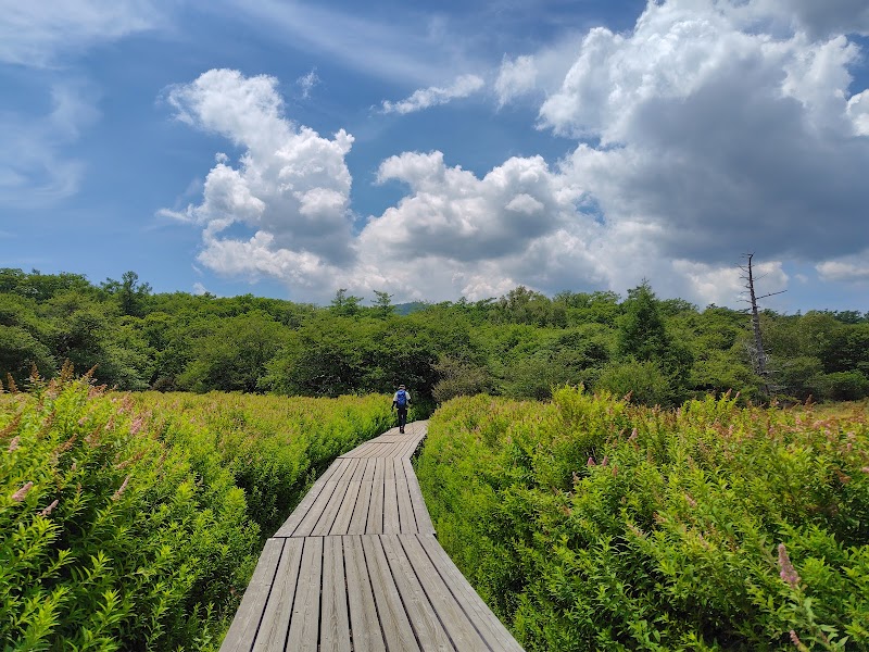 Senjogahara Marshland