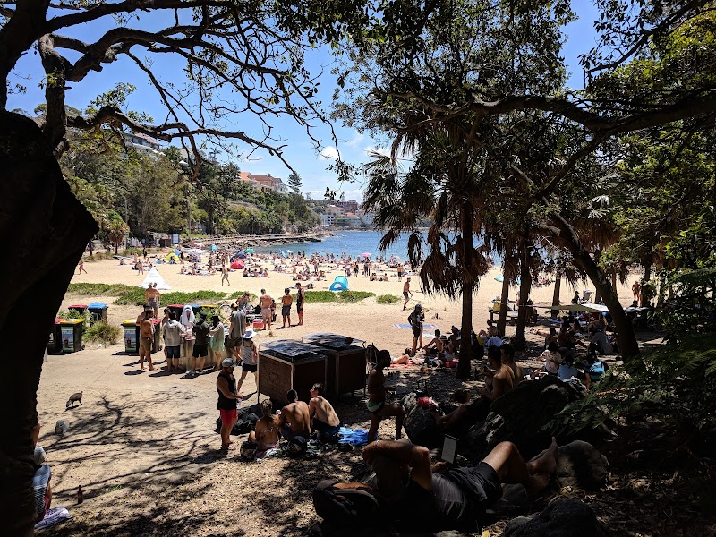 Shelly Beach
