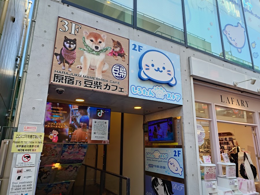 Shiba Inu Cafe