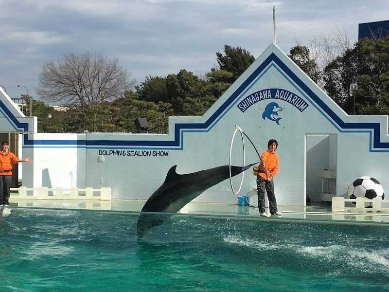 Shinagawa Aquarium