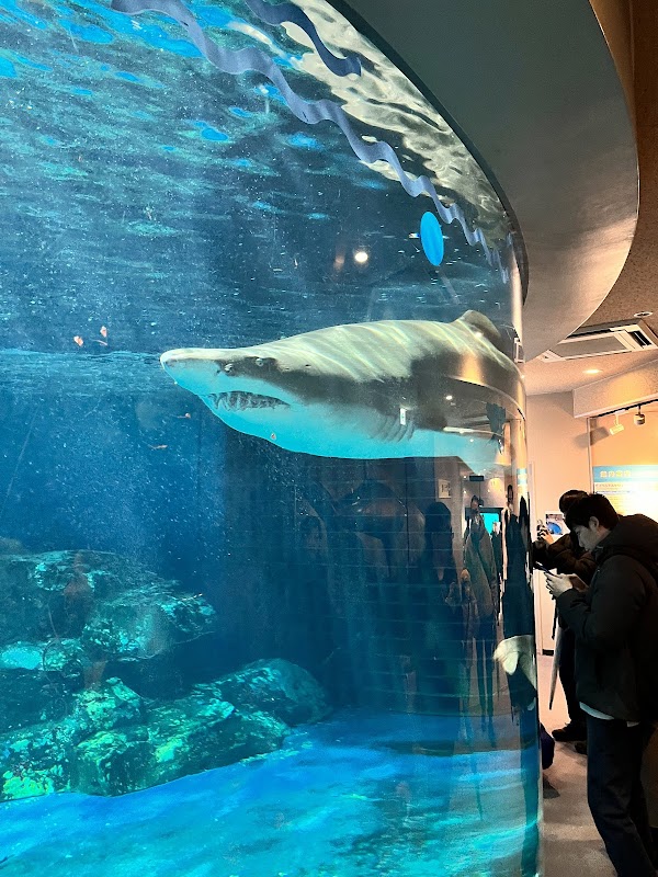 Shinagawa Aquarium