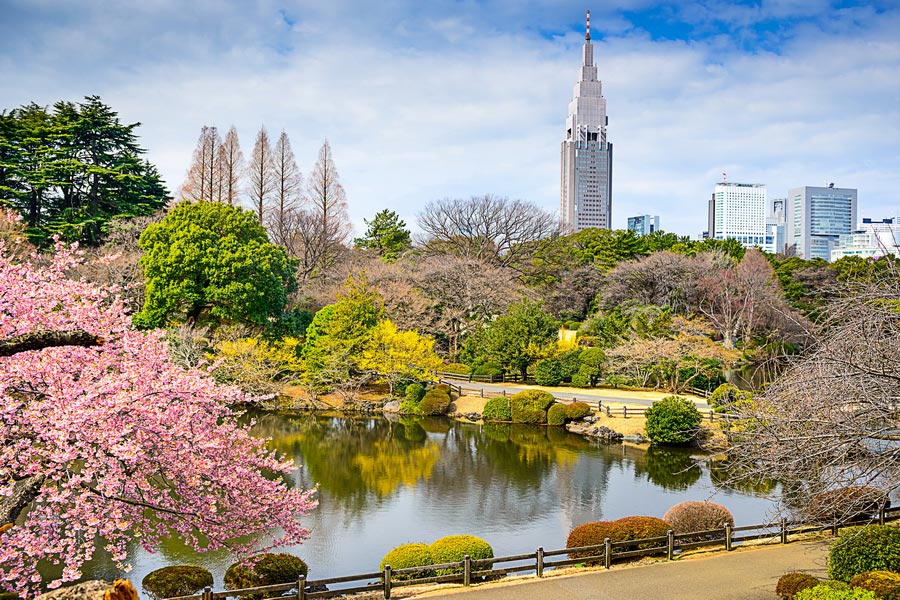 Shinjuku Gyoen