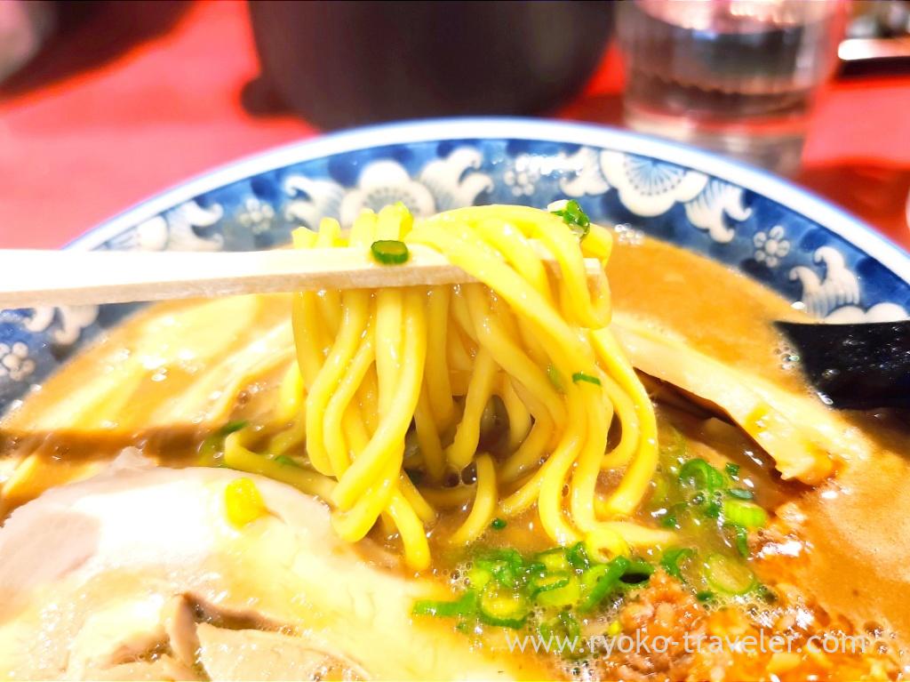 Shinshu Miso Ramen