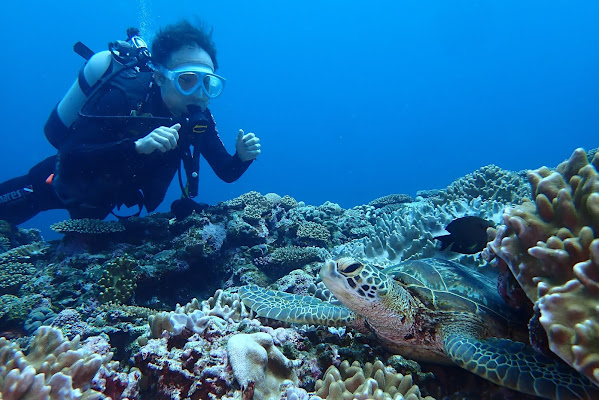 Shiraho Blue Coral Diving