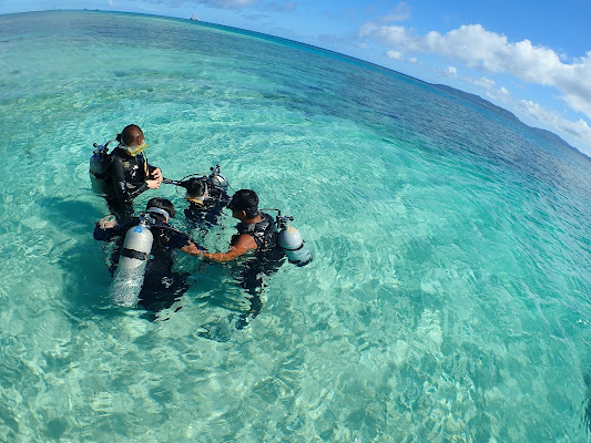 Shiraho Blue Coral Diving