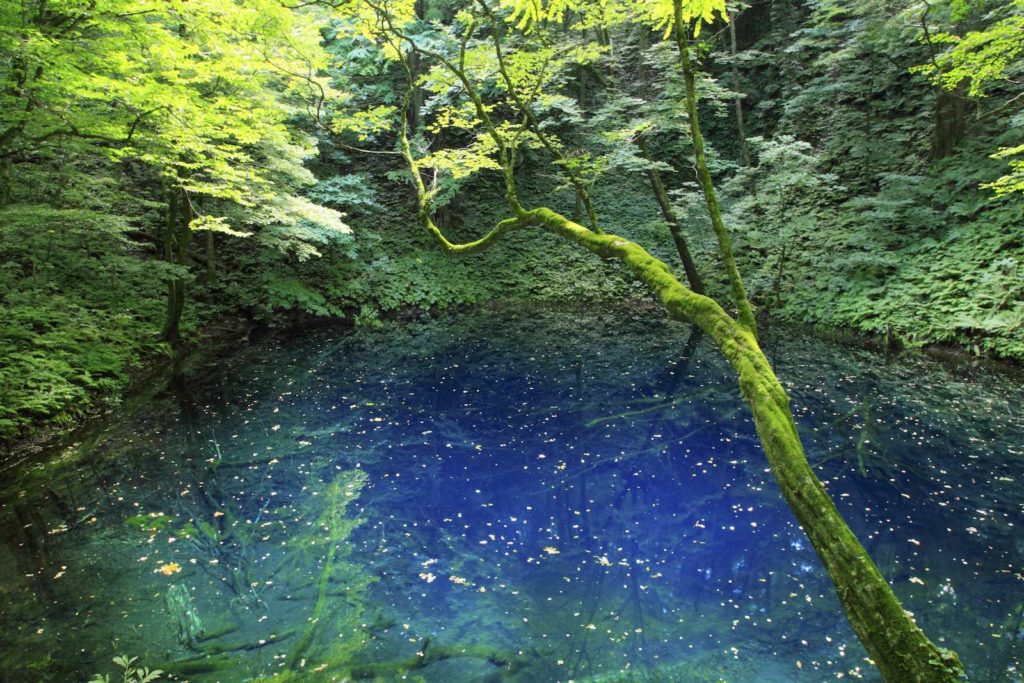 Shirakami Mountains
