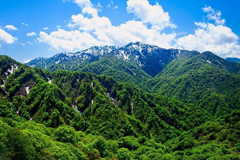 Shirakami Mountains