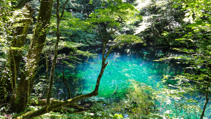 Shirakami Mountains