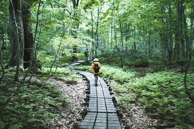 Shirakami Sanchi Hiking Courses