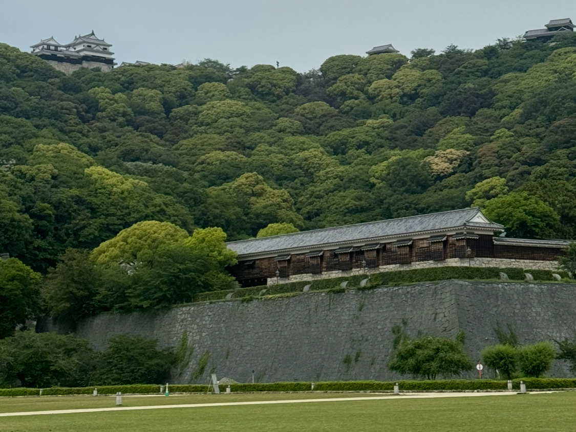Shiroyama Hill Walking Trails