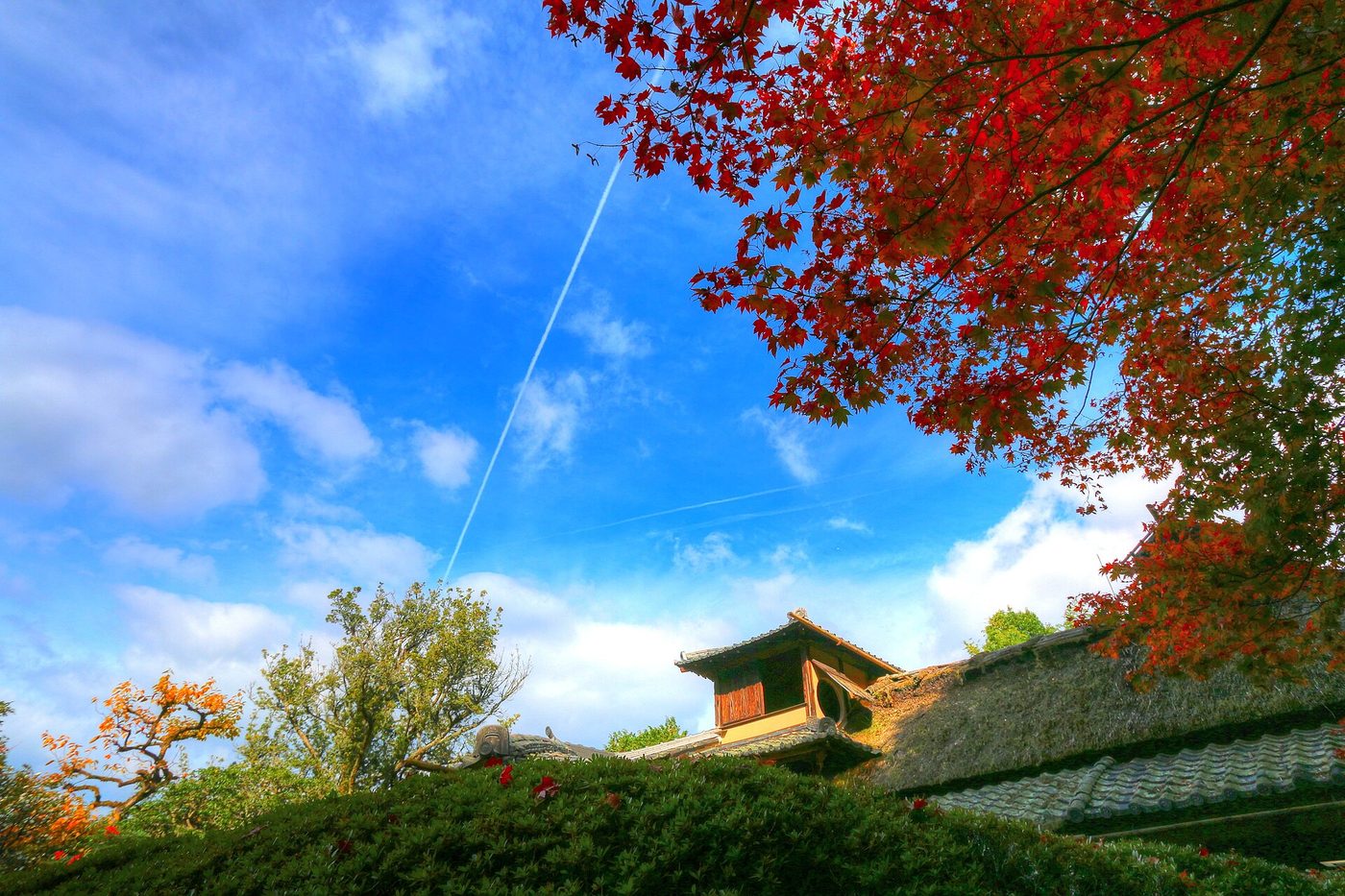 Shisen-do Temple