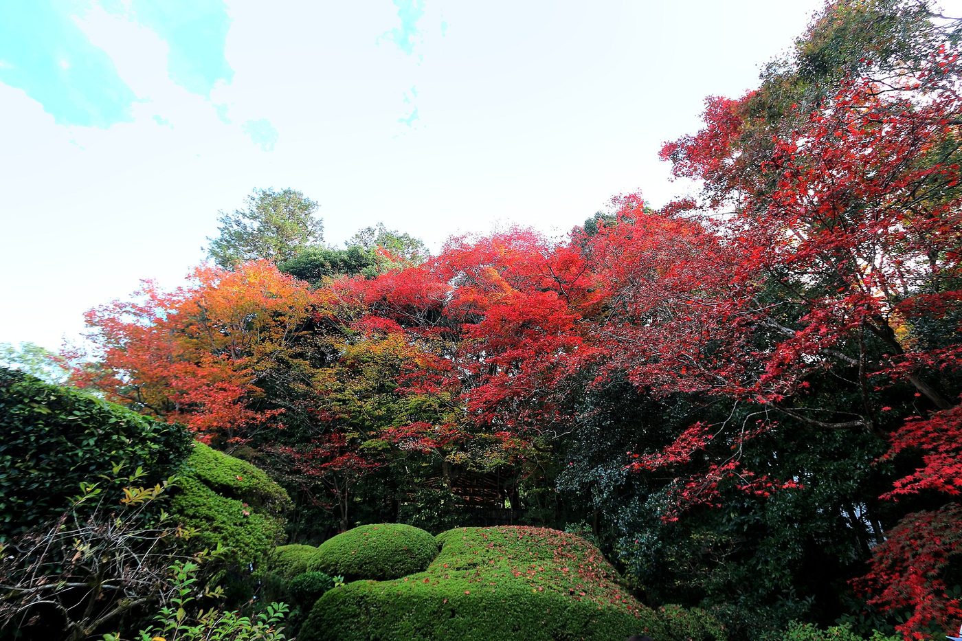 Shisen-do Temple