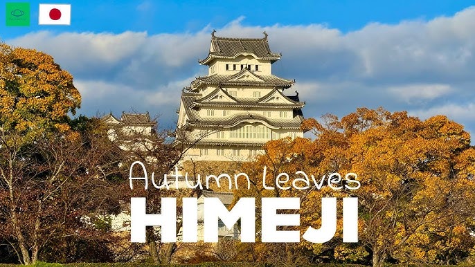 Shoshazan Engyo-ji Autumn Leaves
