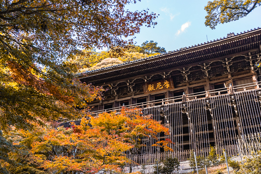 Shoshazan Engyo-ji Autumn Leaves