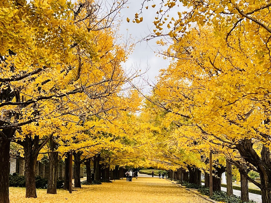 Showa Kinen Park