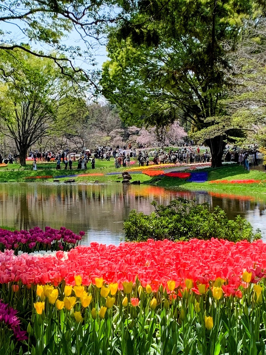 Showa Kinen Park