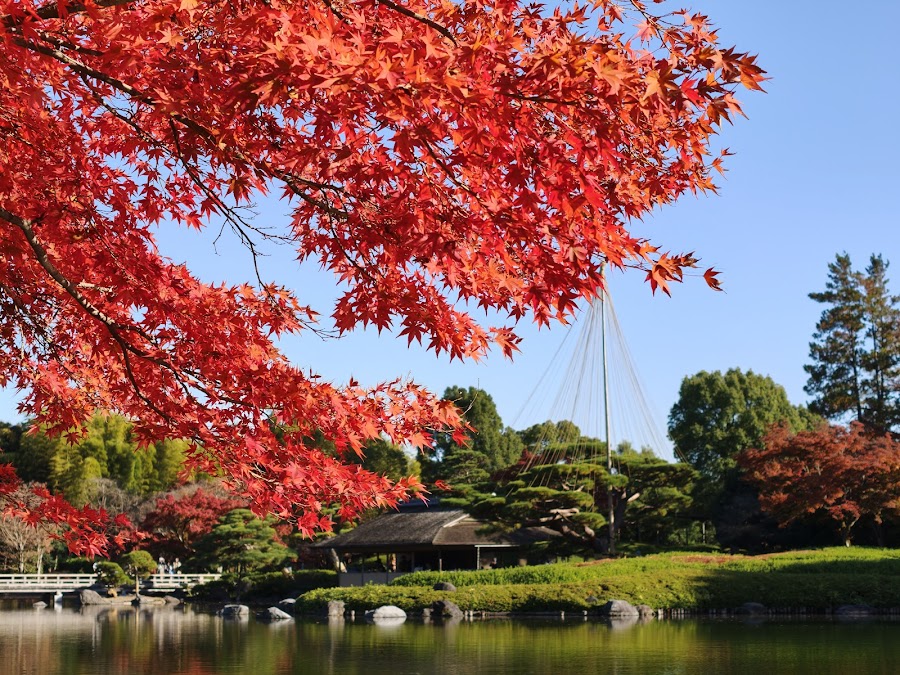 Showa Kinen Park
