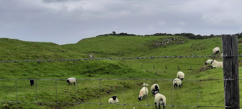 Sky Road (Clifden)