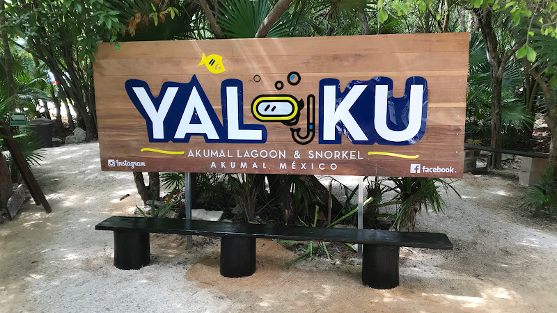 Snorkelling at Akumal